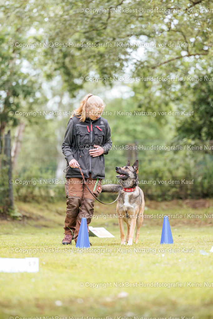 RO-Blumenthal-2026-Nickbest-Hundefotografie-4940 | Dein Hund! Dein Moment! Deine Erinnerungen! Hundefotografie in Bremen Blumenthal. Ich fange die besonderen Momente deines Vierbeiners ein – ob Indoor mit Blitzanlage oder in der freien Natur. Sicher dir dein Moment und dein Termin für eure Erinnerungen.
