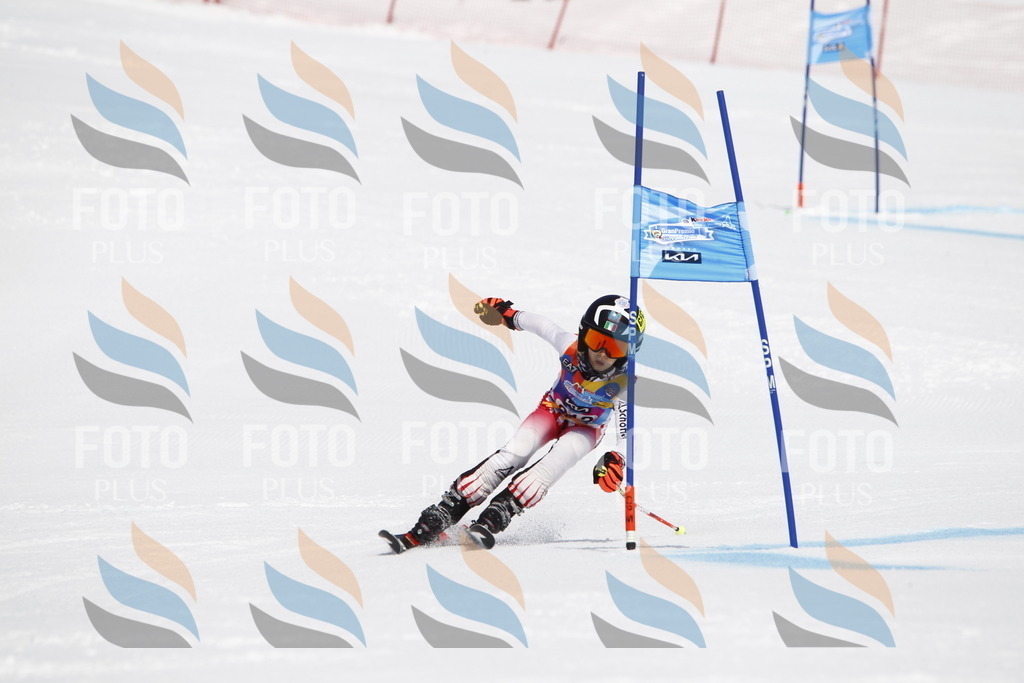 _U3G5467 | holidayphoto