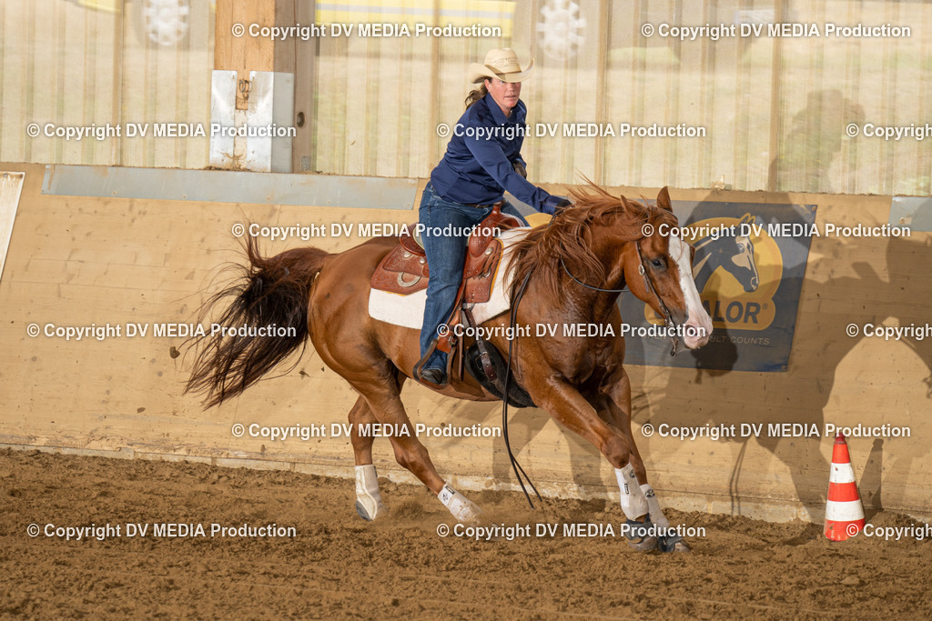 LAU01512 | dv-media-shop - Realisiert mit Pictrs.com