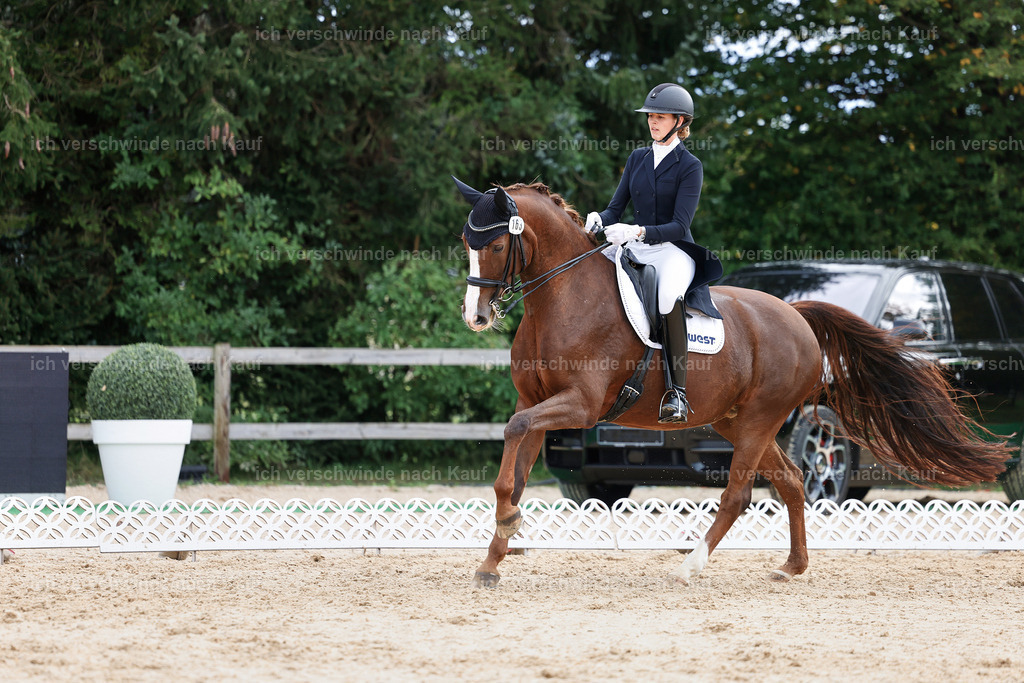6-163-AMATUER-DRESSUR S_  -StoibPH-3477 | working equitationturnier fotograf videograf stoibphotography marixx film working equitation deutschland reitsport turnierfotografie eventfotografie equestrian events