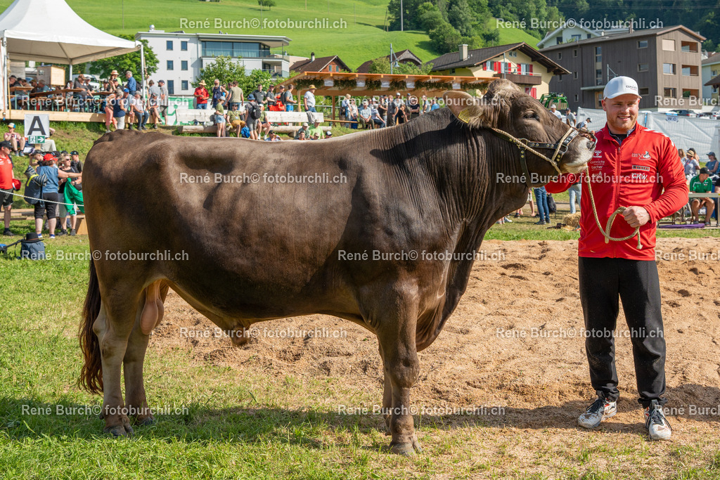RB_03867 | René Burch leidenschaftlicher Fotograf aus Kerns in Obwalden.  Hier finden sie Sport, Landschaft und Natur Fotografie.
 - Realisiert mit Pictrs.com