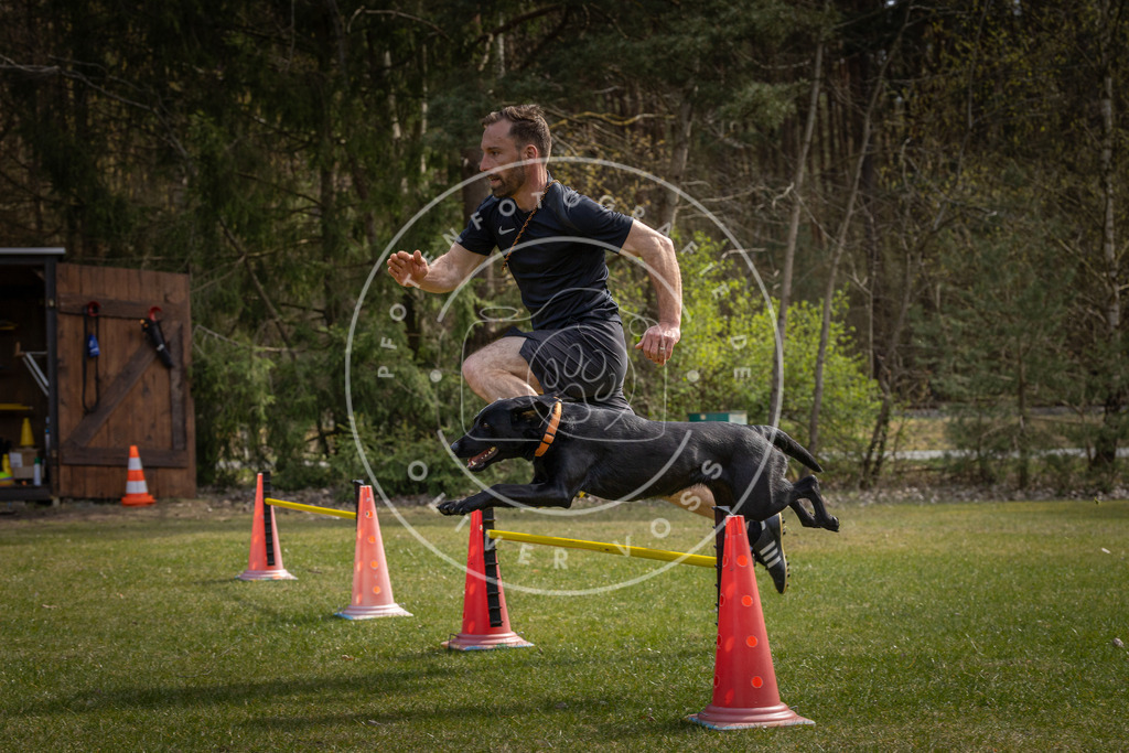 Pfotenfotografie_DV3A3477 | Hundefotografie, Tierfotograf, Pfotenfotografie, Fotoshooting Hund, Hunde Portrait, Hundesport, Hundeportraits, Heideshooting, Hunde, Sportfotograf, Hundefotograf, Turnierhundsport, THS,  - Realisiert mit Pictrs.com