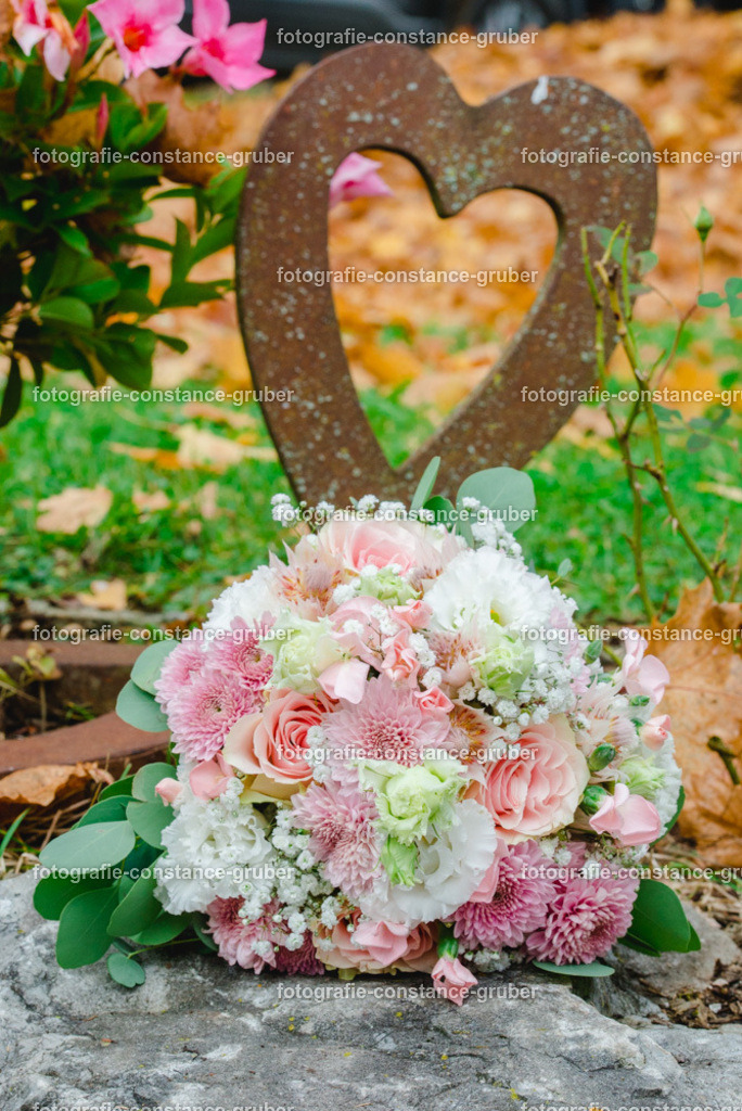 1012 | Fotografie Constance Gruber - Realisiert mit Pictrs.com