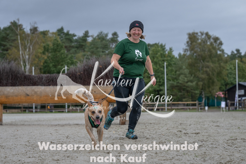 1137-94405 | kk-dogfotos