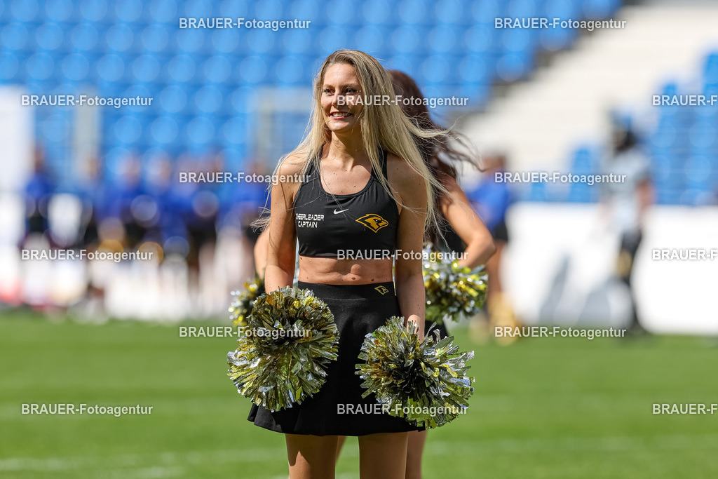 097_Ravens_20230827_0539 | BRAUER-Fotoagentur