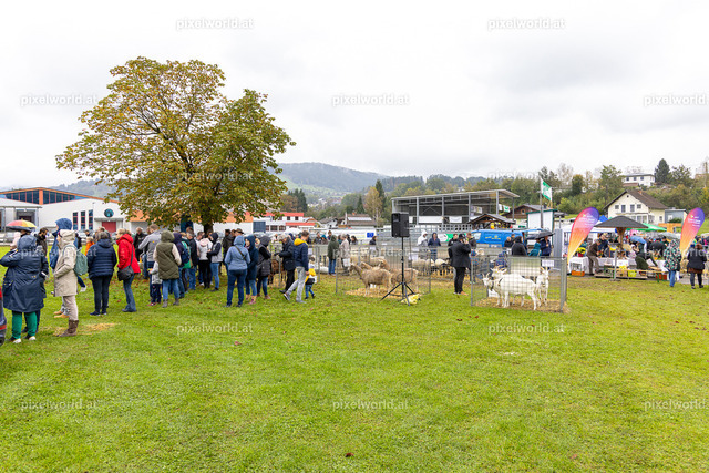 SchaZie-Tag Feldkirchen | Bildershop von pixelworld.at - Realisiert mit Pictrs.com