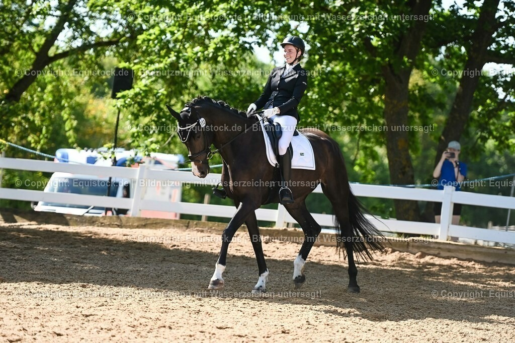 20230715_06_Dressurpferdeprfg. Kl.A_0356 | equistock