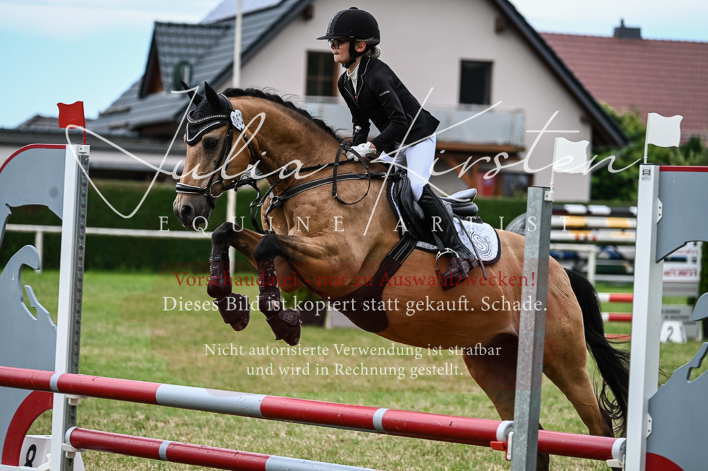 DSC_8588 | Pferde- und Turnierfotografie in Westsachsen. Pferdeportraits, Auftragszeichnungen und intuitive Kunst.