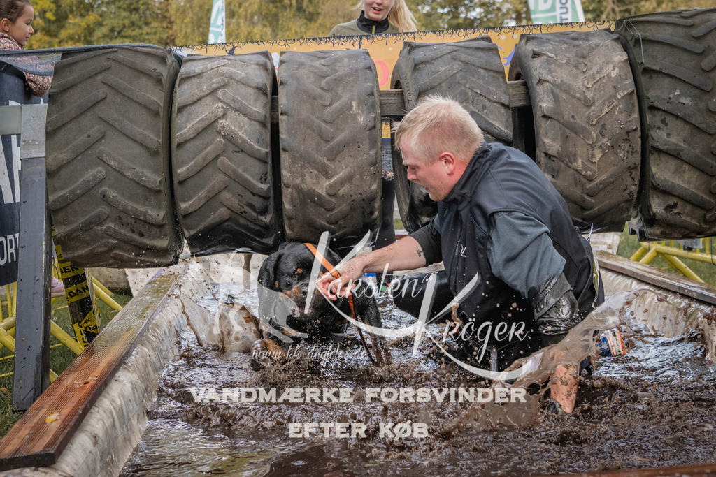 1500_ZZ90869 | kk-dogfotos