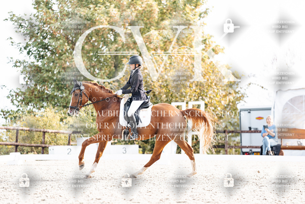CK901365 | Turnierfotografie Pferdefotografie Trier Rheinland-Pfalz Pferdesport Reitsport Tierfotografie Sportfotografie Pferdevideo Pferdevideografie Equestrianvideography equestrianphotography  - Realisiert mit Pictrs.com