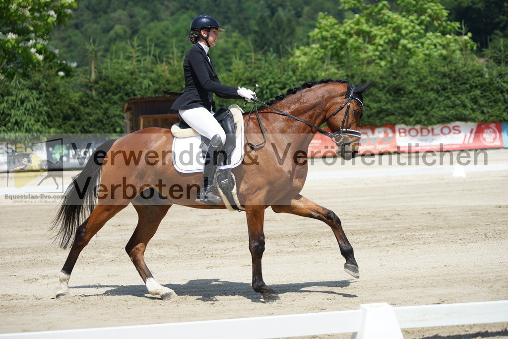 DSC04796 | equestrian-live-com