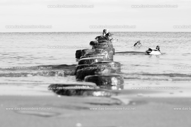 042-Usedom-Wi_2023 | Hochzeitsfotografie Königs Wusterhausen, Eventfotografie, Babyfotografie, Kindergartenfotografie, Schulfotografie, Luftbildfotografie, Landschaftsfotografie - Realisiert mit Pictrs.com