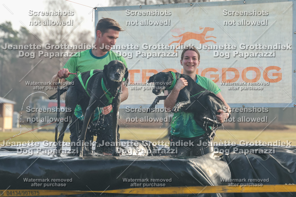 Dog Paparazzi - SD North Sa 830-900-129 | Dog Paparazzi Jeanette Grottendiek Fotografie & Videografie - Realisiert mit Pictrs.com