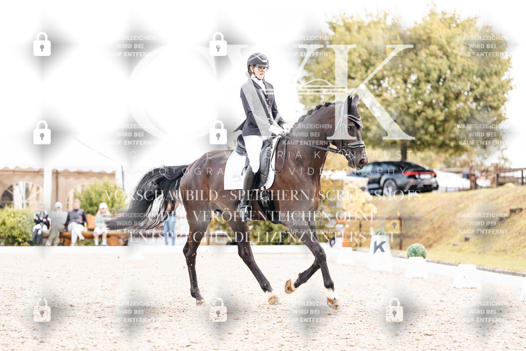 CK901788 | Turnierfotografie Pferdefotografie Trier Rheinland-Pfalz Pferdesport Reitsport Tierfotografie Sportfotografie Pferdevideo Pferdevideografie Equestrianvideography equestrianphotography  - Realisiert mit Pictrs.com