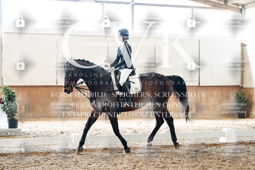 CK900115 | Turnierfotografie Pferdefotografie Trier Rheinland-Pfalz Pferdesport Reitsport Tierfotografie Sportfotografie Pferdevideo Pferdevideografie Equestrianvideography equestrianphotography  - Realisiert mit Pictrs.com