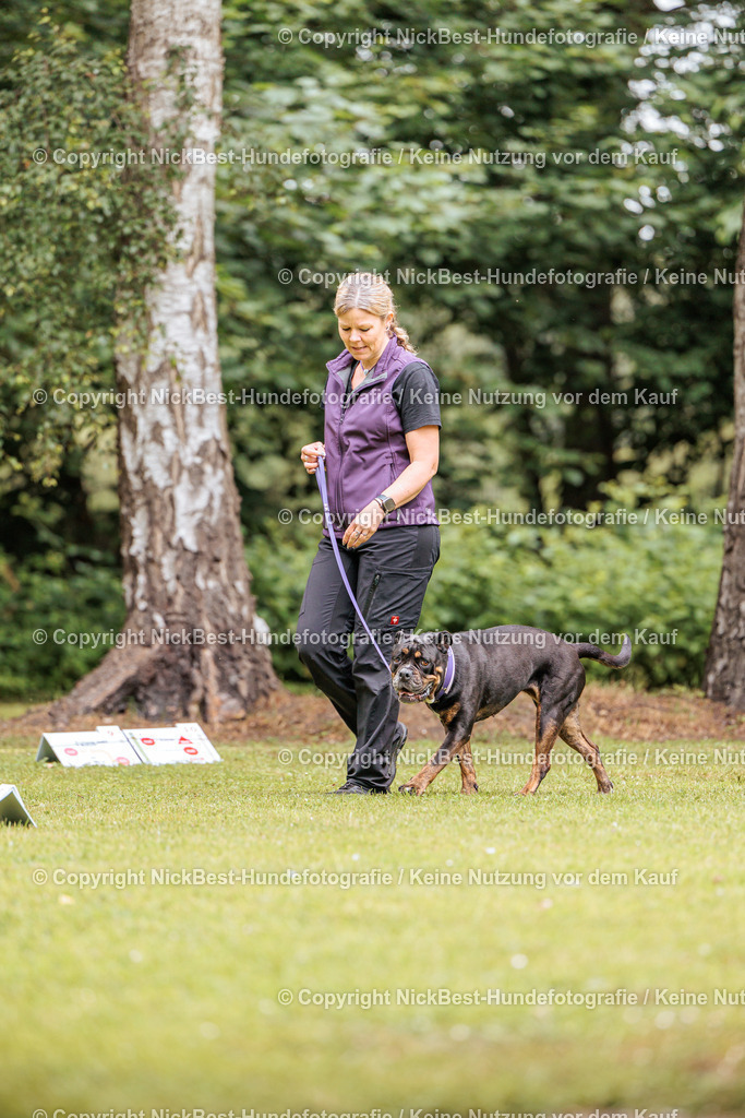 RO-Blumenthal-2026-Nickbest-Hundefotografie-1660 | Dein Hund! Dein Moment! Deine Erinnerungen! Hundefotografie in Bremen Blumenthal. Ich fange die besonderen Momente deines Vierbeiners ein – ob Indoor mit Blitzanlage oder in der freien Natur. Sicher dir dein Moment und dein Termin für eure Erinnerungen.