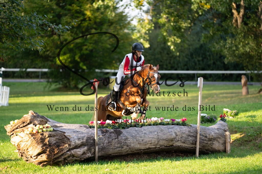 A7V02859 | Pferdefotograf