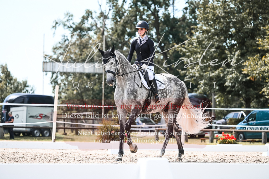 DSC_5615 | Pferde- und Turnierfotografie in Westsachsen. Pferdeportraits, Auftragszeichnungen und intuitive Kunst.