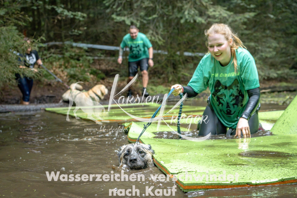1510_ZZ94503-Bearbeitet | kk-dogfotos