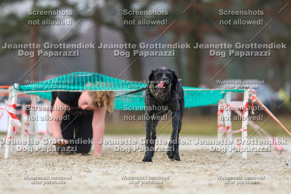 Dog Paparazzi - Strongdog North Mrz26-3700 | Dog Paparazzi Jeanette Grottendiek Fotografie & Videografie - Realisiert mit Pictrs.com
