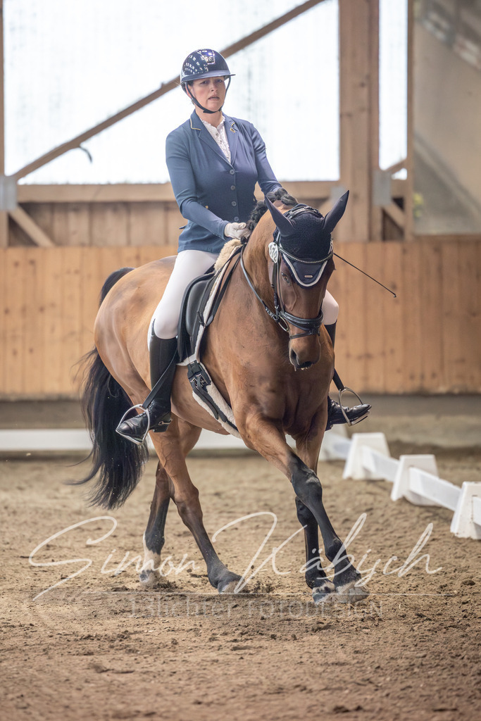 20251011-_3LI9881 | Tierfotografie Pferde, Hunde, Katzen, Haustiere.
Turnierfotografie Reitturniere, Reiten, Springreiten, Dressur in Hanau, dem Main-Kinzig-Kreis und dem Rhein-Main- Gebiet um Frankfurt