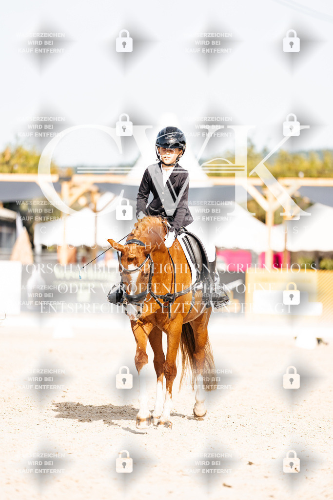 CK905327 | Turnierfotografie Pferdefotografie Trier Rheinland-Pfalz Pferdesport Reitsport Tierfotografie Sportfotografie Pferdevideo Pferdevideografie Equestrianvideography equestrianphotography  - Realisiert mit Pictrs.com