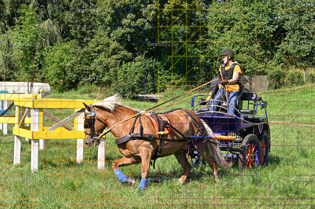 30 Jahre RFV Pulsnitz e.V., Pulsnitz am 09.08.2026 | 30Jahre Reit- und Fahrverein Pulsnitz e.V., Pulsnitz am 08.08.2026Zur 28. breitensportlichen Veranstaltung des RFV Pulsnitz e.V. fanden verschiedene Wettbewerbe in nahezu allen Disziplinen des Pferdesport statt.- Geländefahr-Wettbewerb - Realisiert mit Pictrs.com