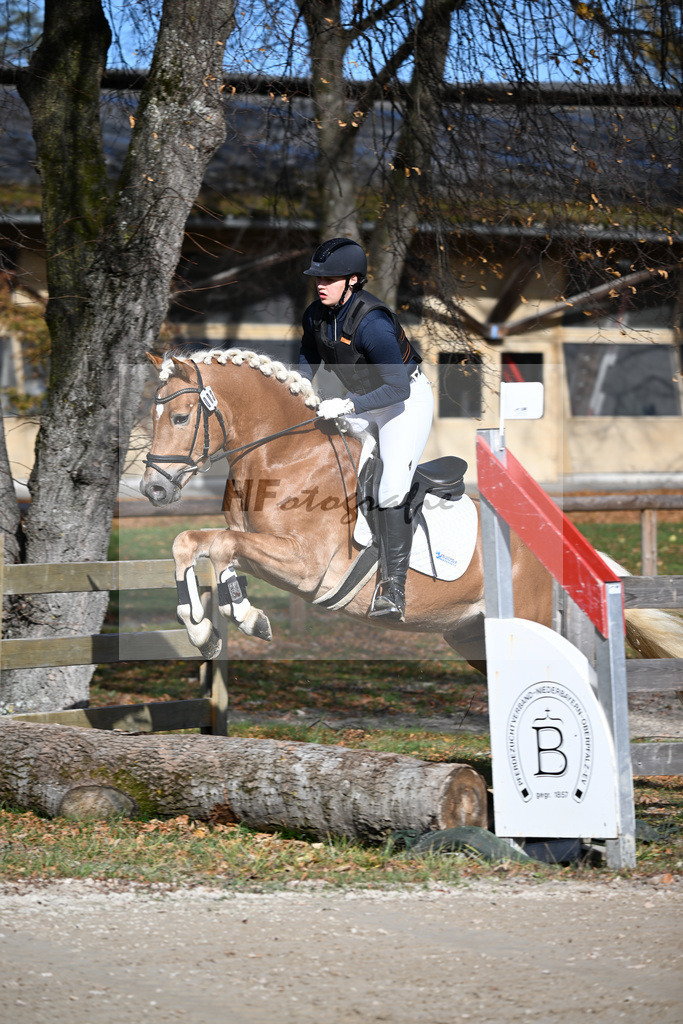 Kat-Nr. 3 Benz-E v. Blitz-U_Wendlinger_43250509 | hf-fotografie - Realisiert mit Pictrs.com