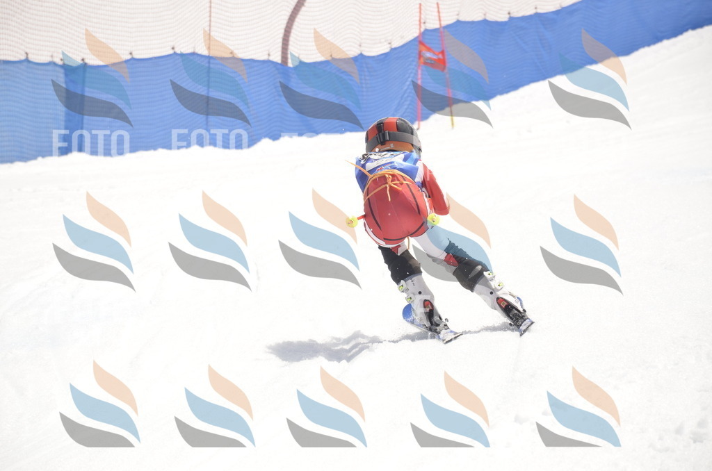 _ELE9047 | holidayphoto