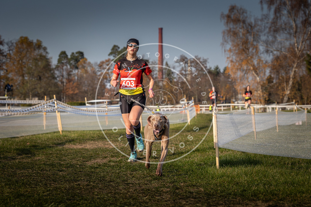 CaniXpix_0L8A0080 | Hundefotografie, Tierfotograf, Pfotenfotografie, Fotoshooting Hund, Hunde Portrait, Hundesport, Hundeportraits, Heideshooting, Hunde, Sportfotograf, Hundefotograf, Turnierhundsport, THS,  - Realisiert mit Pictrs.com