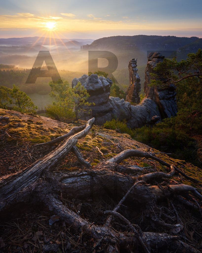 Ein Hans Fineart Original | Entdecke die Kunst von Hans Fineart - Fotografien für dein Zuhause. Verwandle deine Wände mit einzigartigen Kunstwerken und bringe die Schönheit der Welt in dein Leben. Bestelle jetzt und schaffe einen Ort der Inspiration und Eleganz.