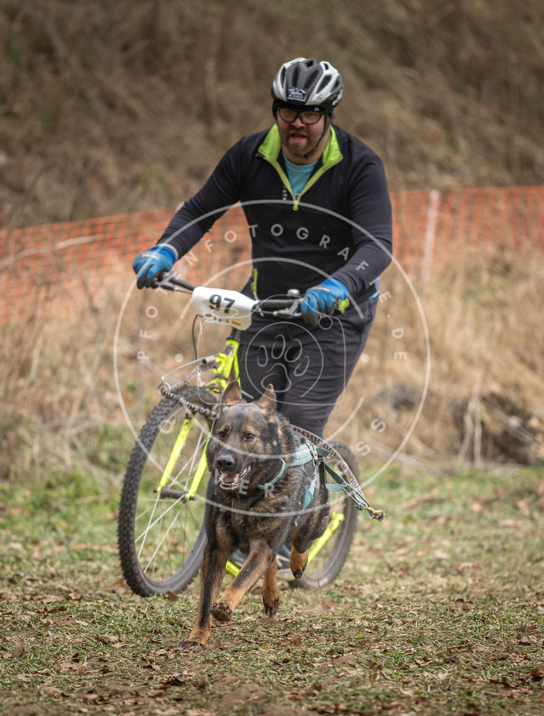 Pfotenfotografie_DV3A7130 | Hundefotografie, Tierfotograf, Pfotenfotografie, Fotoshooting Hund, Hunde Portrait, Hundesport, Hundeportraits, Heideshooting, Hunde, Sportfotograf, Hundefotograf, Turnierhundsport, THS,  - Realisiert mit Pictrs.com