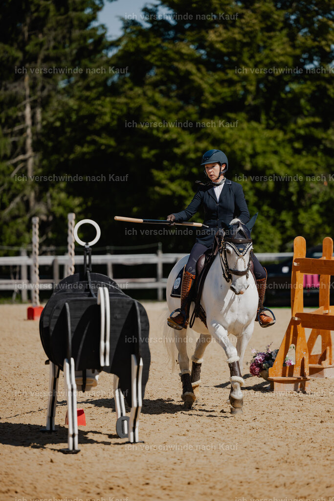 Steffi23_FHC2025-43 | working equitationturnier fotograf videograf stoibphotography marixx film working equitation deutschland reitsport turnierfotografie eventfotografie equestrian events