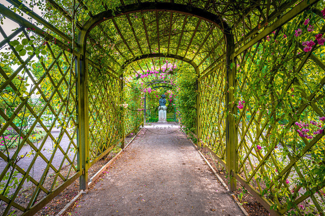 2023-07-02_19-47-43_070 | Rosenspalier im Schlosspark der Dornburger Schlösser bei Jena, Dornburg-Camburg, Thüringen, Deutschland - Realisiert mit Pictrs.com