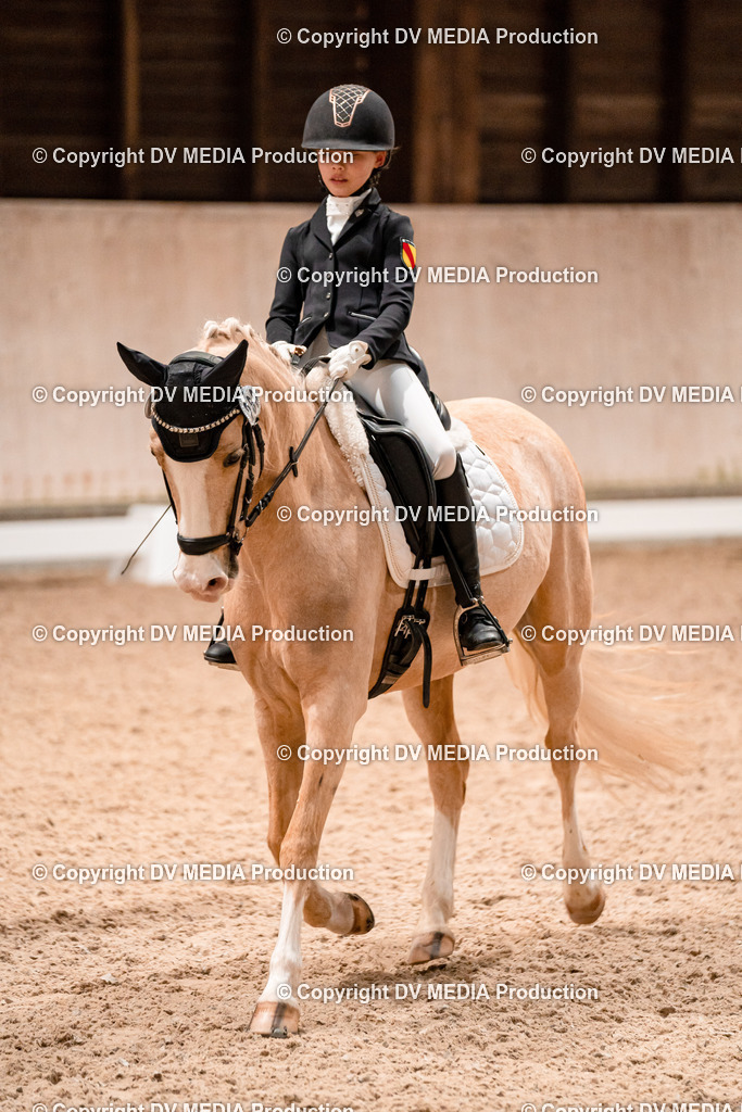 Dressur Tag 1 -385 | dv-media-shop - Realisiert mit Pictrs.com