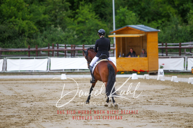 DKP47769 | Turniersportfotografie; Pferdefotografie; Dressurfotografie