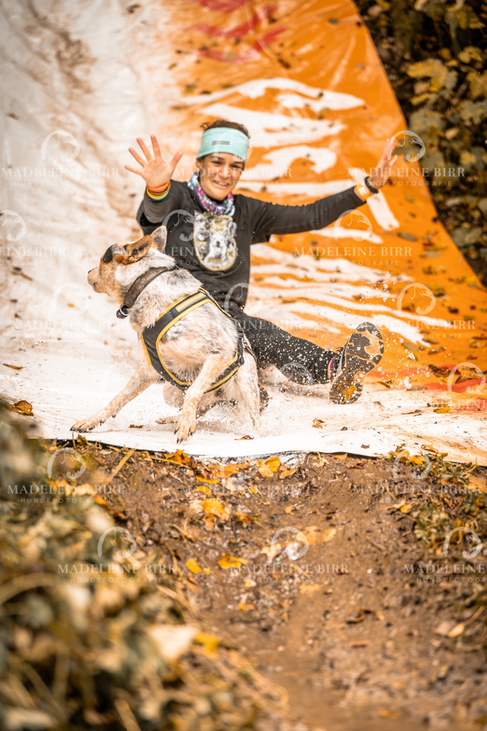 madeleinebirr-fotografie2025.campcanis.sa.8-9Uhr-128 | hundefotografie-birr