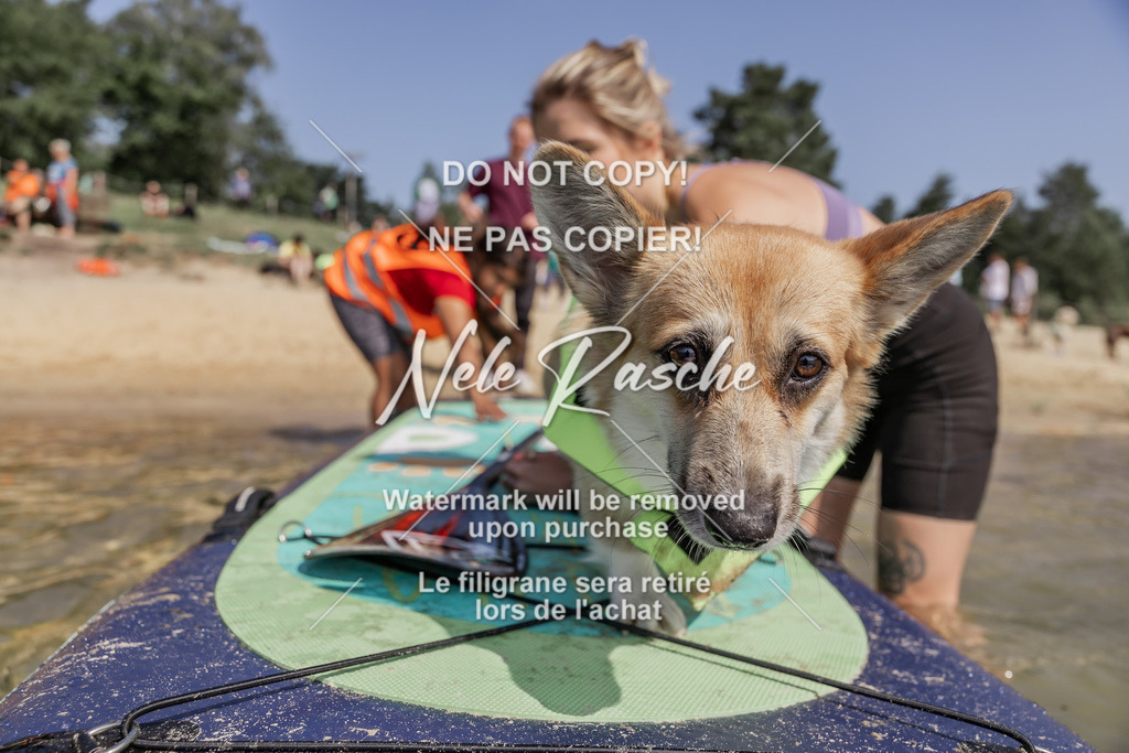 BUHU_SUP_427 | nelerasche