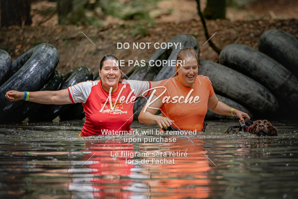 nelerasche_SaWingst1200-1230_09 | nelerasche