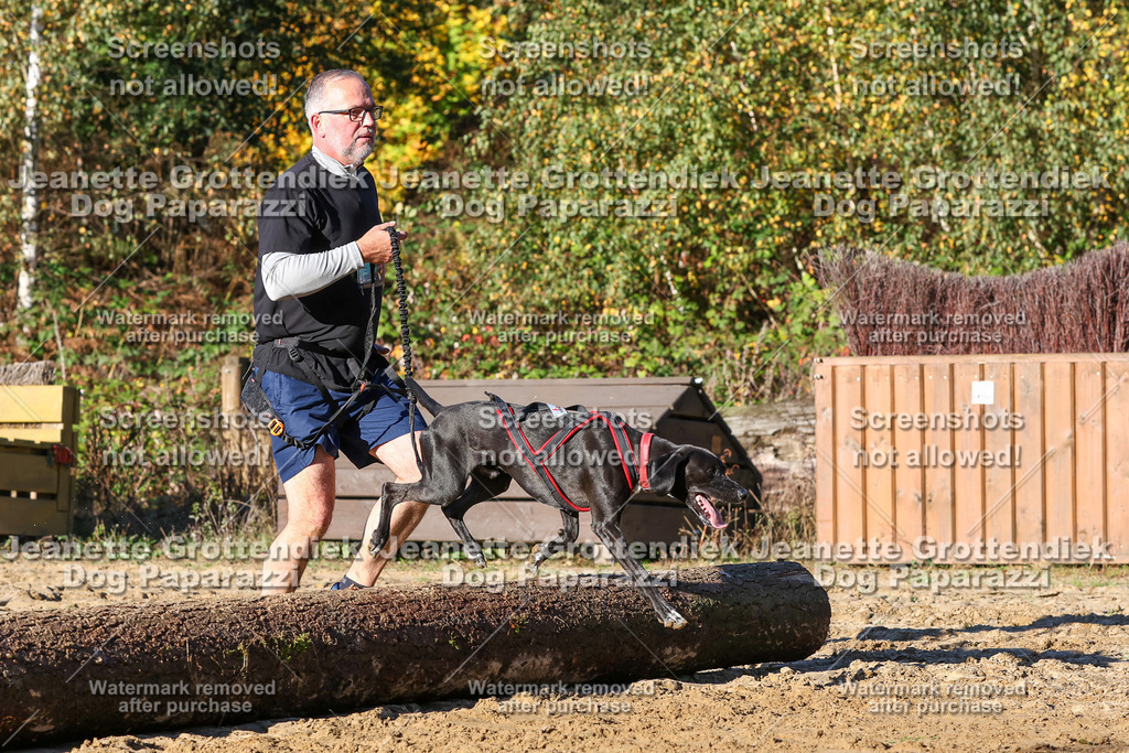 Dog Paparazzi - Strongdog 10-25-1487 | Dog Paparazzi Jeanette Grottendiek Fotografie & Videografie - Realisiert mit Pictrs.com