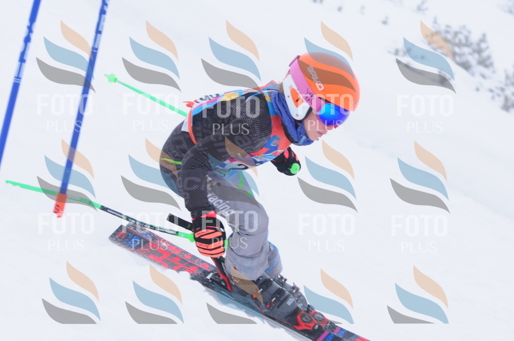 C2807 | holidayphoto