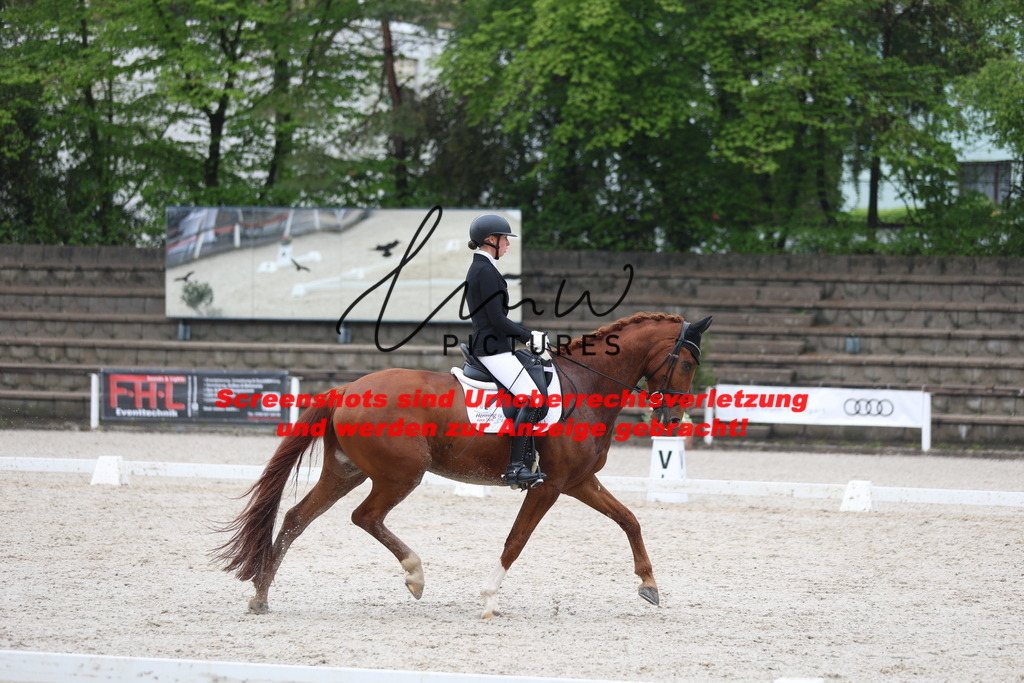 A40A8262 | lmwpictures - Realisiert mit Pictrs.com