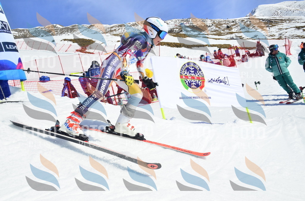 _ELE0741 | holidayphoto