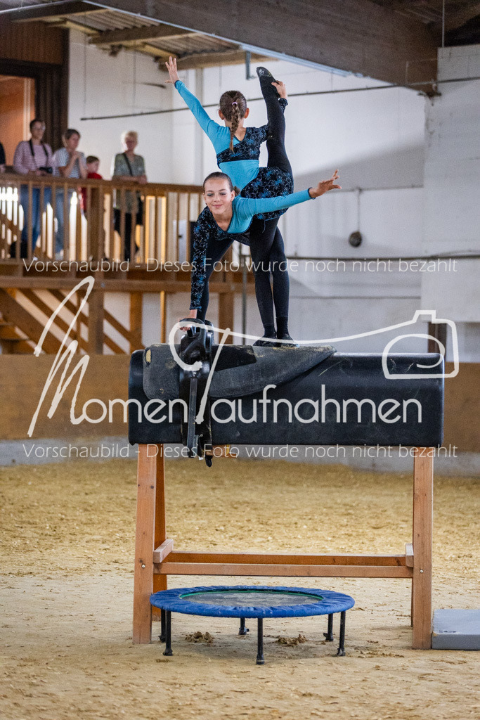 Holzpferd-046 | MomenTaufnahmen Pferdesportfotos