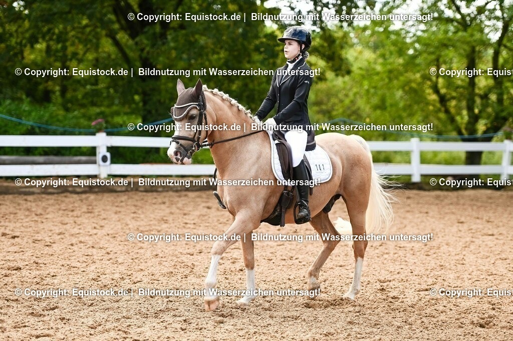 20230716_04_Dressurreiterprüfung Kl.A_0339 | equistock