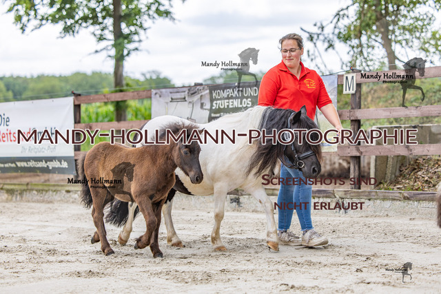 1 (1691) | mandyhollmannphotographie