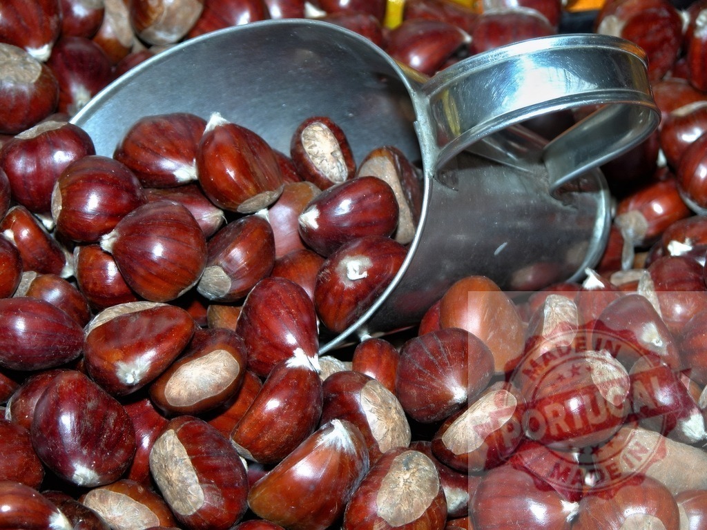 Sweet chestnuts spilling from a metal scoop | Sweet chestnuts with glossy brown shells overflowing from a metal scoop - Realisiert mit Pictrs.com