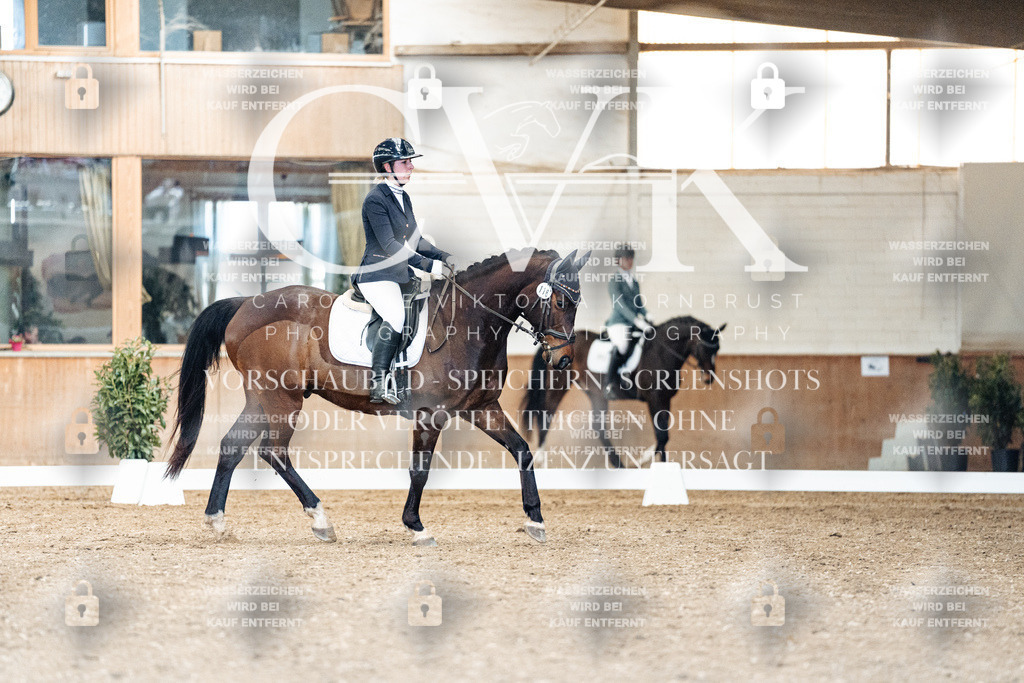 CK900897 | Turnierfotografie Pferdefotografie Trier Rheinland-Pfalz Pferdesport Reitsport Tierfotografie Sportfotografie Pferdevideo Pferdevideografie Equestrianvideography equestrianphotography  - Realisiert mit Pictrs.com