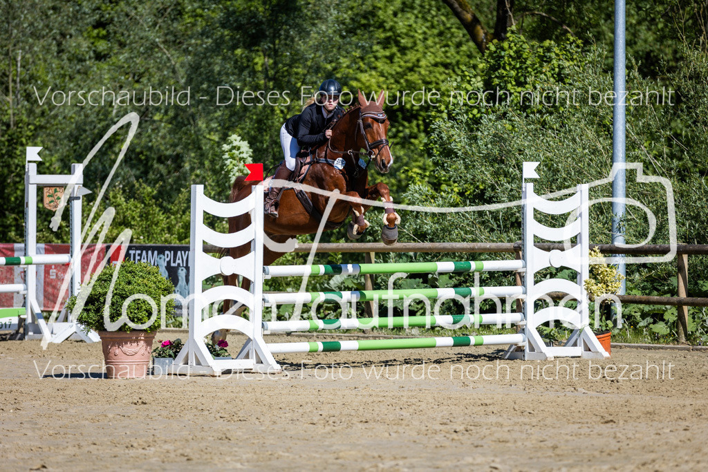 Donop24-A2Spr-136 | MomenTaufnahmen Pferdesportfotos