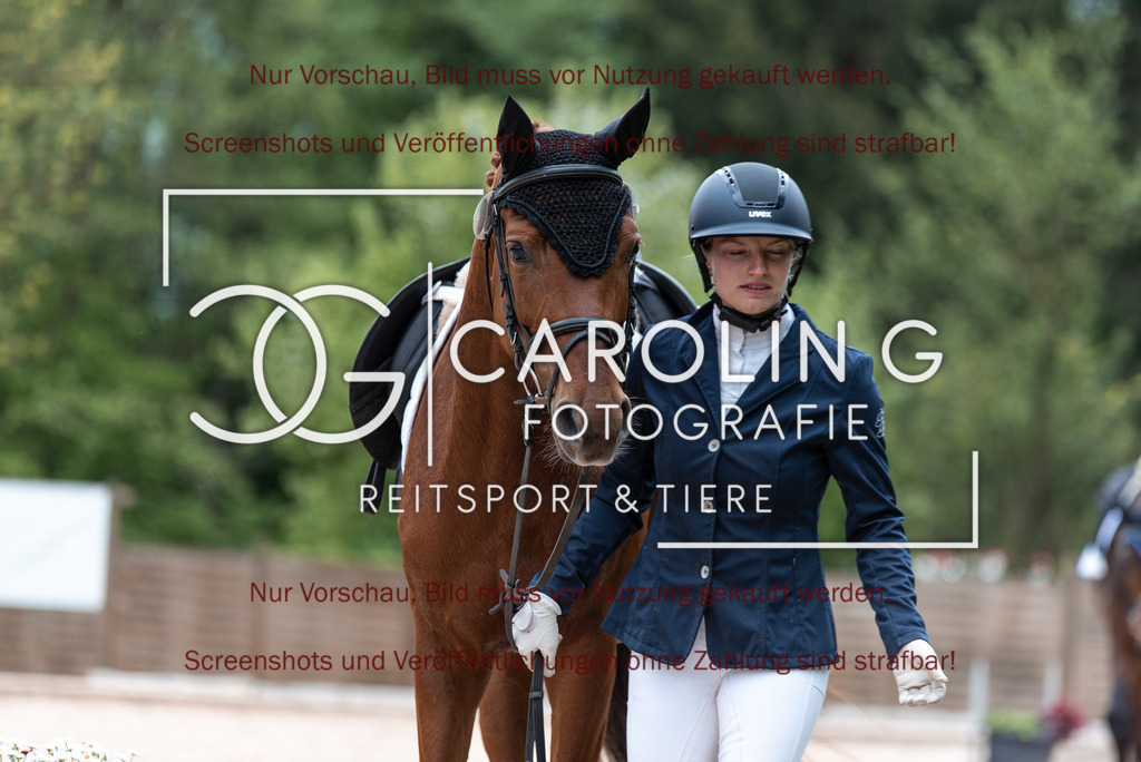 DSC_6943 | Turnierfotografin Carolin Gieschke,Reitsport Turnierfotografie Carolin G Fotografie | Turnierfotos aus Kirchheim/Teck, Esslingen, Stuttgart und dem Bodenseekreis